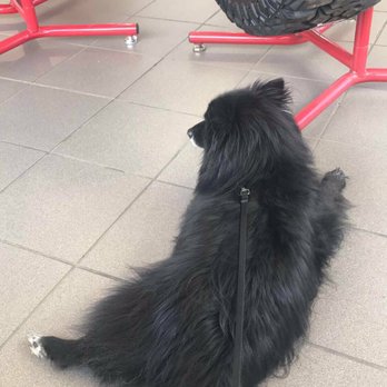 Discount Tire - Tires Near Me - Shelby Charter Township, Michigan Discount Tire - Tires Near Me - Shelby Charter Township, Michigan