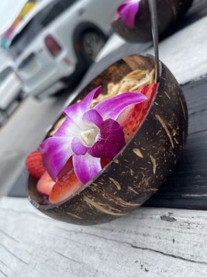 MIAM CAFE-WYNWOOD by null