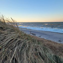 Sandy Neck Beach Park