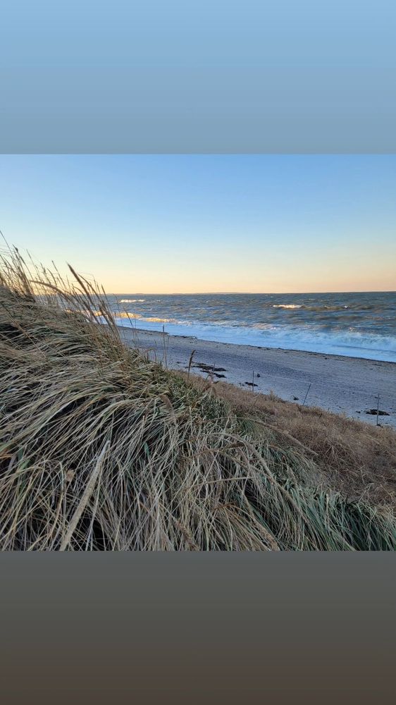 Sandy Neck Beach Park Logo