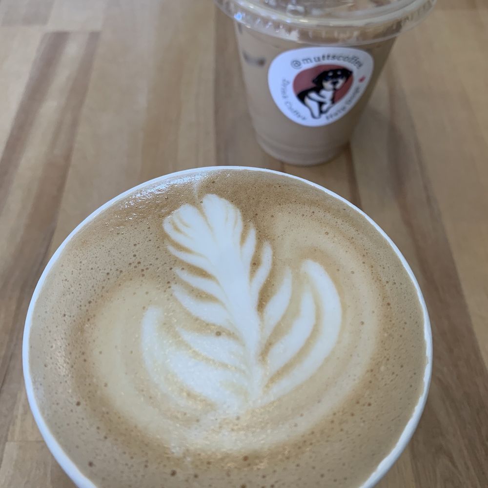 Mutts Coffee - Hazelnut latte/ iced Carmel latte - Coffee Roasteries Near Me - Beaverton, Oregon