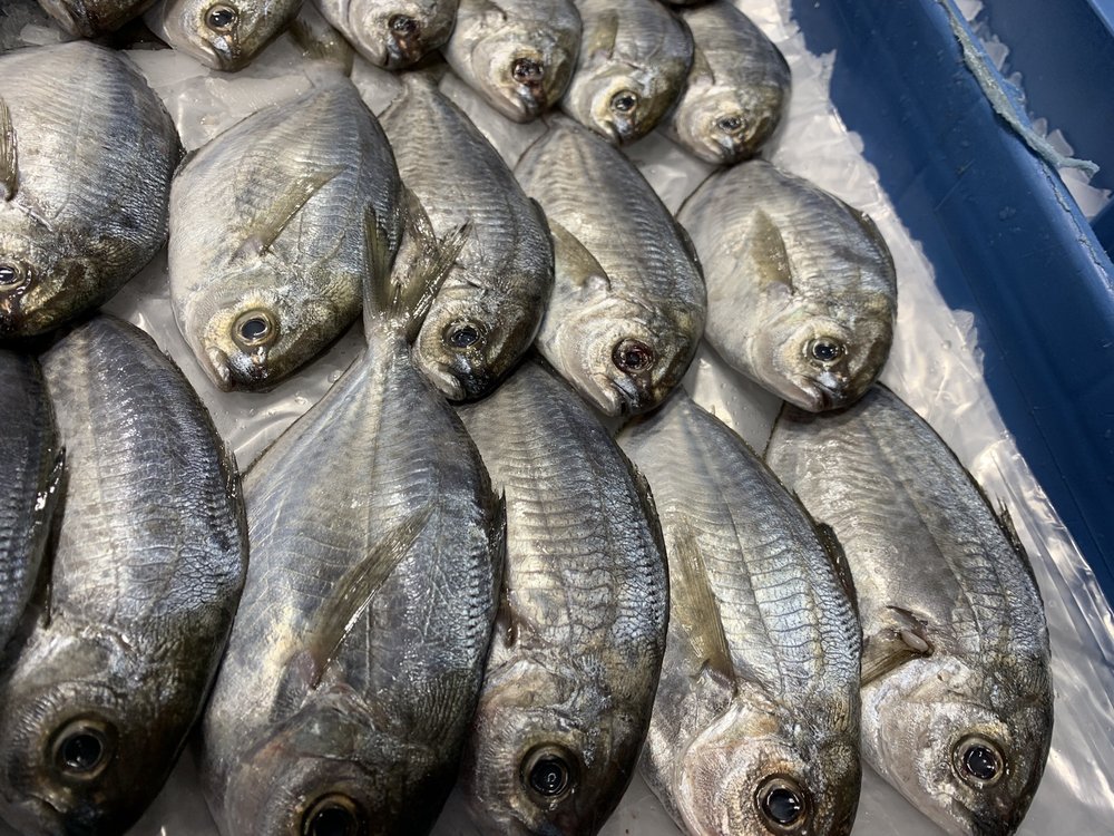 INTERNATIONAL MARINE PRODUCTS 16 Photos & 12 Reviews Seafood Markets 3020 E Washington