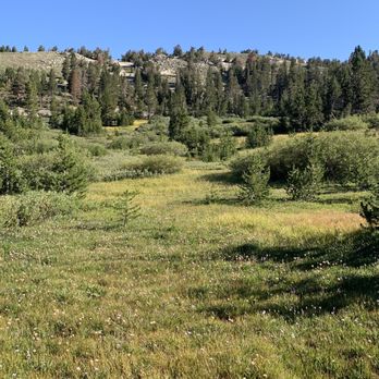 Achieve Tahoe - Tahoe Meadows - Community Service/Non-Profit Near Me - Alpine Meadows, California Achieve Tahoe - Tahoe Meadows - Community Service/Non-Profit Near Me - Alpine Meadows, California