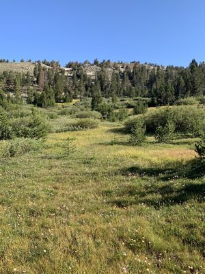 Achieve Tahoe by null