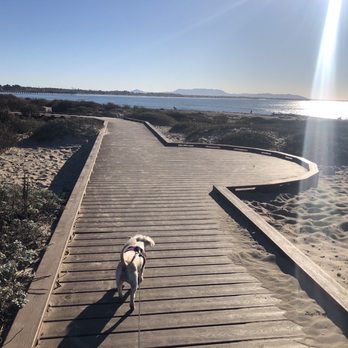 Surfer's Point - Beaches Near Me - Ventura, California