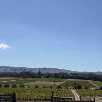 Gundlach Bundschu - Outdoor - Wineries Near Me - Sonoma, California