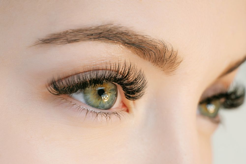 SV Lash Logo