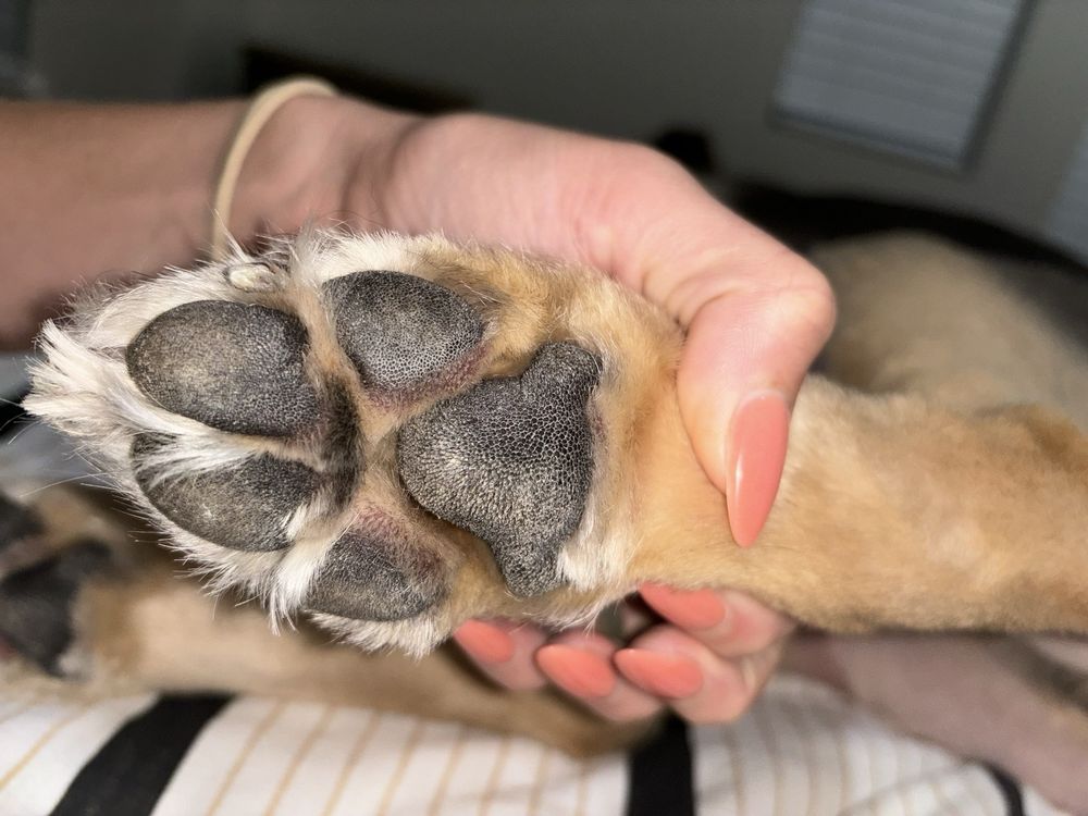 BED BATH ‘N BONZ Updated September 2024 21 Photos & 19 Reviews 20110 Hwy 69 S, Tyler