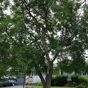 Ganoe Tree Service - Tree Services Near Me - Canandaigua, New York Ganoe Tree Service - Tree Services Near Me - Canandaigua, New York