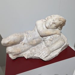 Rheinisches Landesmuseum