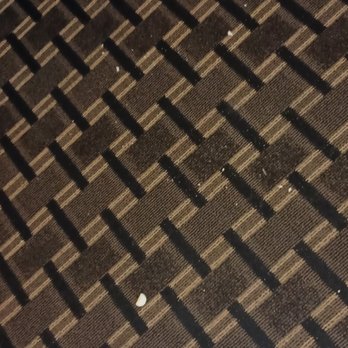 Hampton Inn Sweetwater, TX - Debris - Hotels Near Me - Sweetwater, Texas Hampton Inn Sweetwater, TX - Debris - Hotels Near Me - Sweetwater, Texas