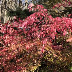 Lake Hammonasset - Beautiful colors