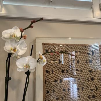 Moon Atelier - AND MORE DEAD ORCHIDS! - Florists Near Me - Los Angeles, California Moon Atelier - AND MORE DEAD ORCHIDS! - Florists Near Me - Los Angeles, California