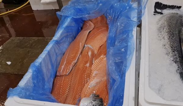 Billingsgate Market by null