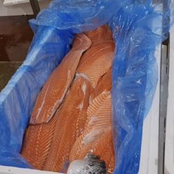 Billingsgate Fish Market
