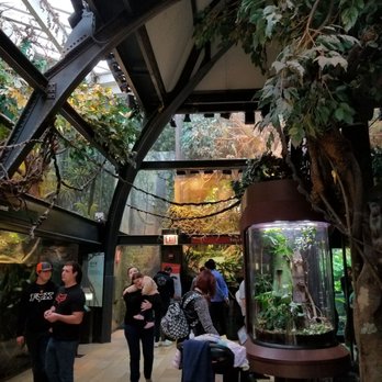 Shedd Aquarium - Amazon section - Aquariums Near Me - Chicago, Illinois Shedd Aquarium - Amazon section - Aquariums Near Me - Chicago, Illinois