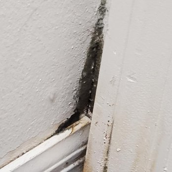 Tropical Restoration Services - Damage Restoration Near Me - Boca Raton, Florida