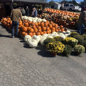 Jaemor Farms - Farmers Market Near Me - Alto, Georgia Jaemor Farms - Farmers Market Near Me - Alto, Georgia