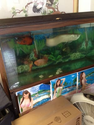 Chef Hong Kitchen by null