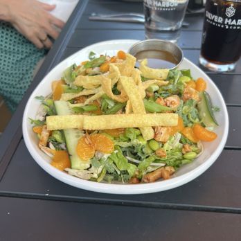 Silver Harbor Brewing Company - Asian salad - Breweries Near Me - Saint Joseph, Michigan
