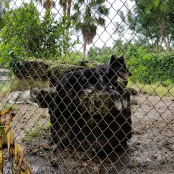 Everglades Outpost - Zoos Near Me - Homestead, Florida