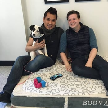 Felines & Canines - Ethan, Joshua, and Babe(Emma) on the day we adopted her. - Animal Shelters Near Me - Chicago, Illinois Felines & Canines - Ethan, Joshua, and Babe(Emma) on the day we adopted her. - Animal Shelters Near Me - Chicago, Illinois