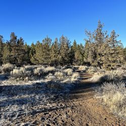Willow Springs Preserve - rim loop trail