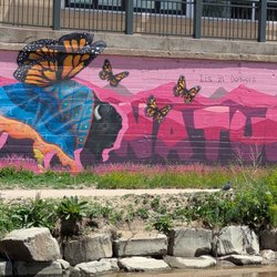 Cherry Creek Trail - Artwork along the trail