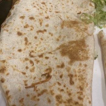 La Penca Azul - Cheese Quesadilla - Mexican Near Me - Alameda, California La Penca Azul - Cheese Quesadilla - Mexican Near Me - Alameda, California
