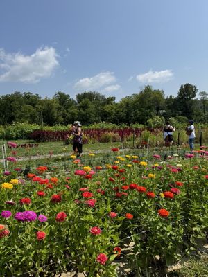 Wilson's Orchard & Farm (Iowa City) by null