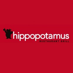 Hippopotamus - Hippopotamus