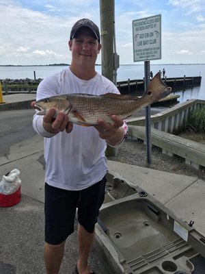 BLUE MARLIN BEACH SHOP - Updated March 2025 - 15 Photos - 309 Fort