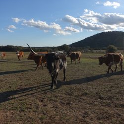 Rancho Cortez