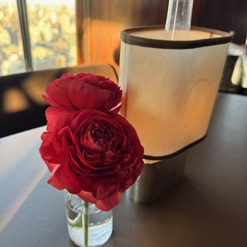 Michael George Flowers - Gorgeous Japanese red ranunculus - Flowers & Gifts Near Me - New York, New York Michael George Flowers - Gorgeous Japanese red ranunculus - Flowers & Gifts Near Me - New York, New York