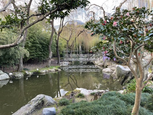Chinese Garden of Friendship by null