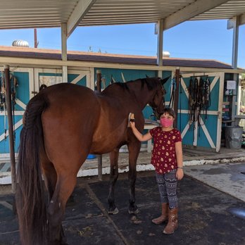 Hope Horse Ranch - They let the kids groom the horses - Horseback Riding Near Me - Ramona, California Hope Horse Ranch - They let the kids groom the horses - Horseback Riding Near Me - Ramona, California