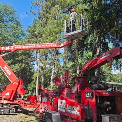 TNT Tree Service