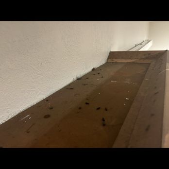 Borba Property Group - More rat poop in hell House - Property Management Near Me - Long Beach, California Borba Property Group - More rat poop in hell House - Property Management Near Me - Long Beach, California