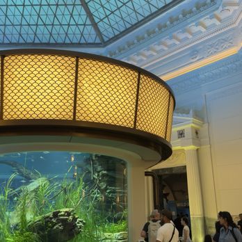 Shedd Aquarium - Aquariums Near Me - Chicago, Illinois