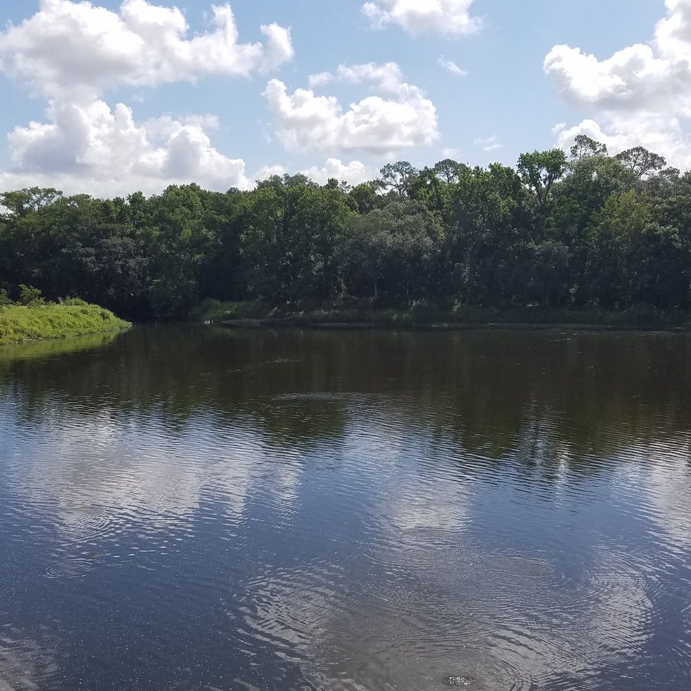 Blanchard Park - Parks Near Me - Orlando, Florida