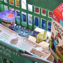 Guru Health Foods - A sample of our dairy products