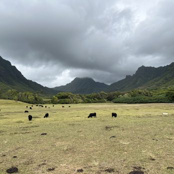 Kualoa Ranch - Tours Near Me - Kaneohe, Hawaii Kualoa Ranch - Tours Near Me - Kaneohe, Hawaii