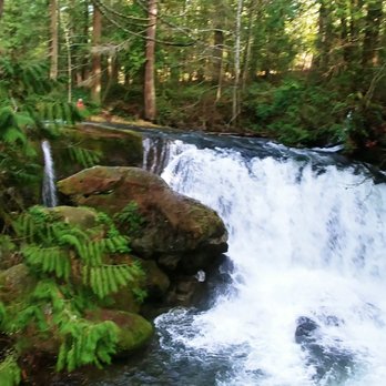 Whatcom Falls Park - Dog Parks Near Me - Bellingham, Washington