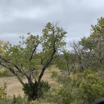 Caprock Canyons State Park - Native trees - Parks Near Me Caprock Canyons State Park - Native trees - Parks Near Me