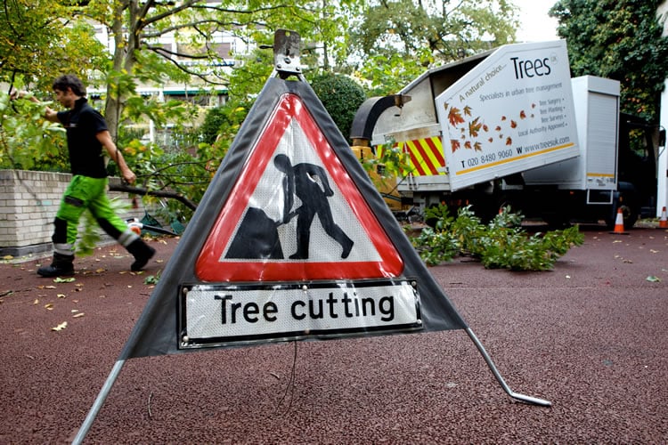 TREES UK 14 Photos Nash Lane, Bromley, Aberdeen, United Kingdom