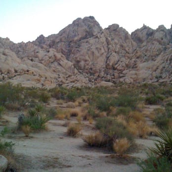 Indian Cove Campground - Campgrounds Near Me - Twentynine Palms, California
