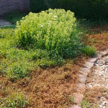 10+ Premier lawn care columbia mo