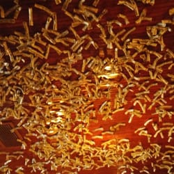 Ceiling in the bar
