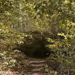 Highlands Nature Sanctuary