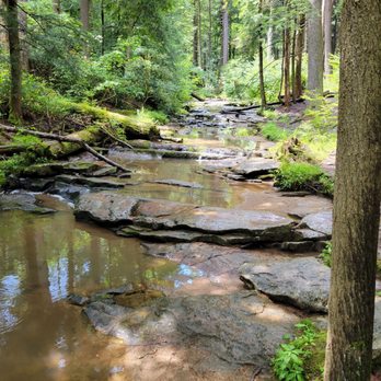 Swallow Falls State Park - Near Tolliver Falls - Parks Near Me - Oakland, Maryland